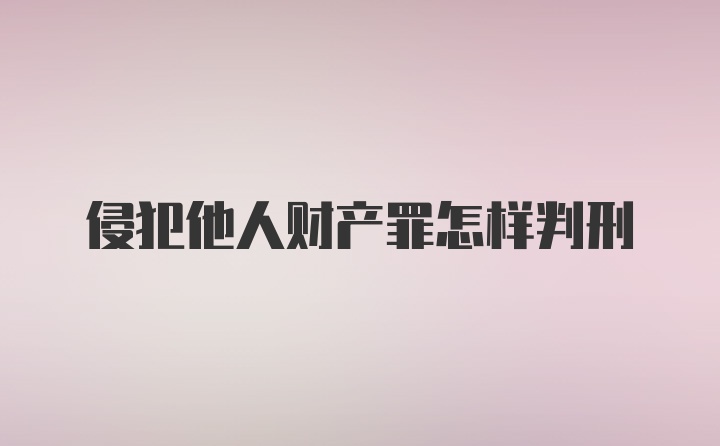 侵犯他人财产罪怎样判刑