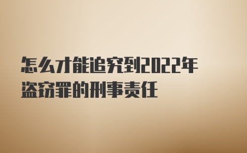 怎么才能追究到2022年盗窃罪的刑事责任