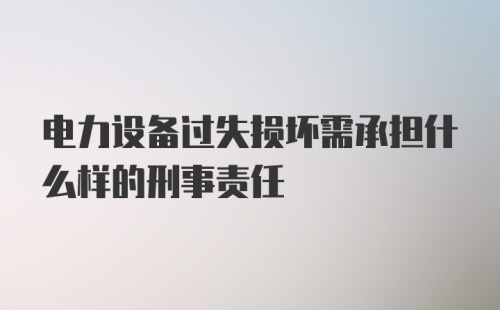 电力设备过失损坏需承担什么样的刑事责任