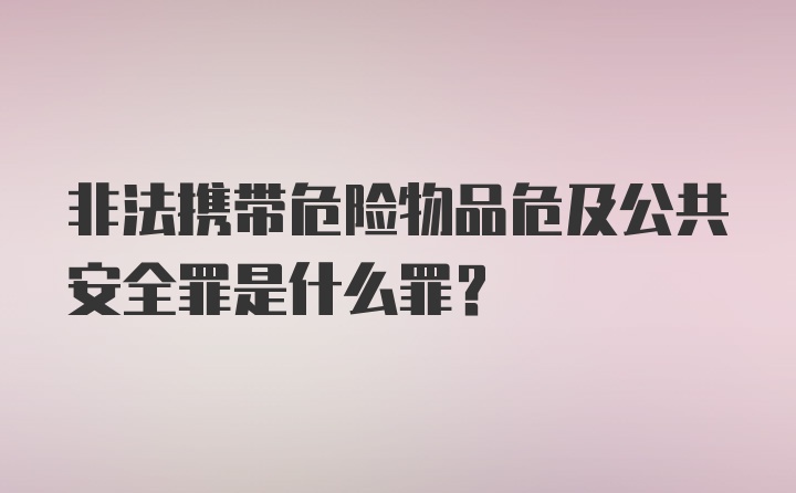 非法携带危险物品危及公共安全罪是什么罪？