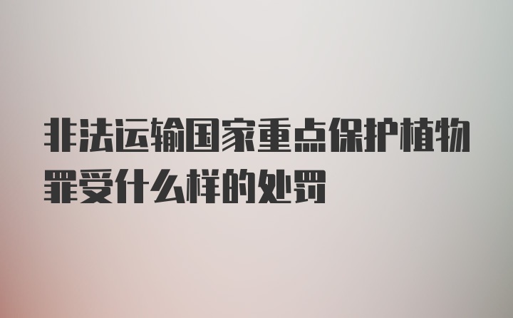 非法运输国家重点保护植物罪受什么样的处罚