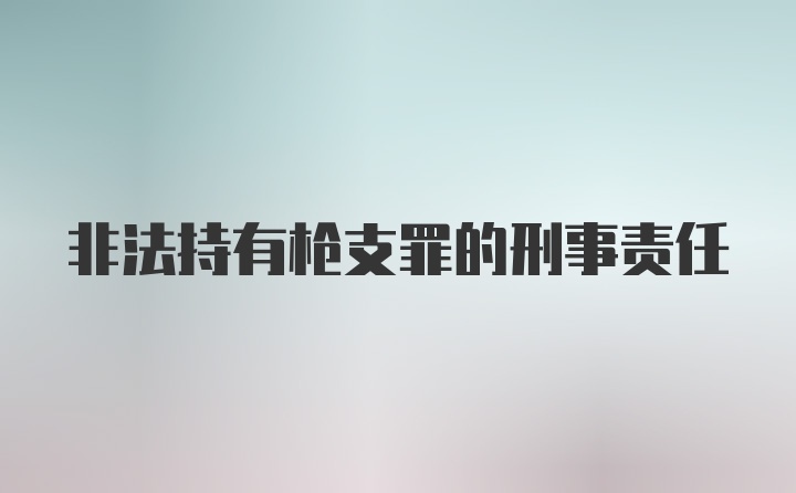 非法持有枪支罪的刑事责任