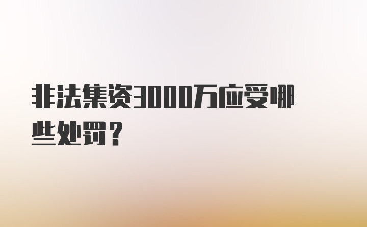 非法集资3000万应受哪些处罚？