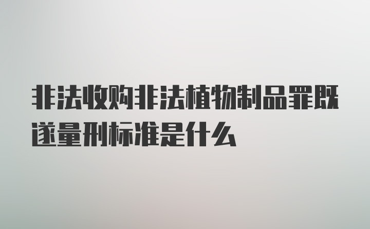 非法收购非法植物制品罪既遂量刑标准是什么