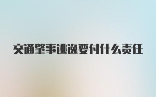 交通肇事逃逸要付什么责任