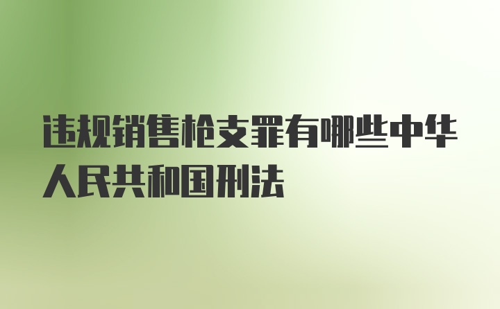 违规销售枪支罪有哪些中华人民共和国刑法