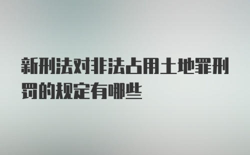 新刑法对非法占用土地罪刑罚的规定有哪些