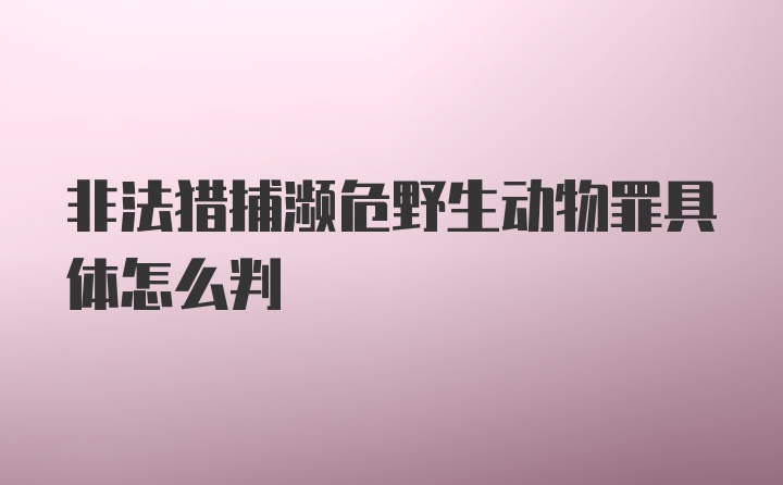 非法猎捕濒危野生动物罪具体怎么判