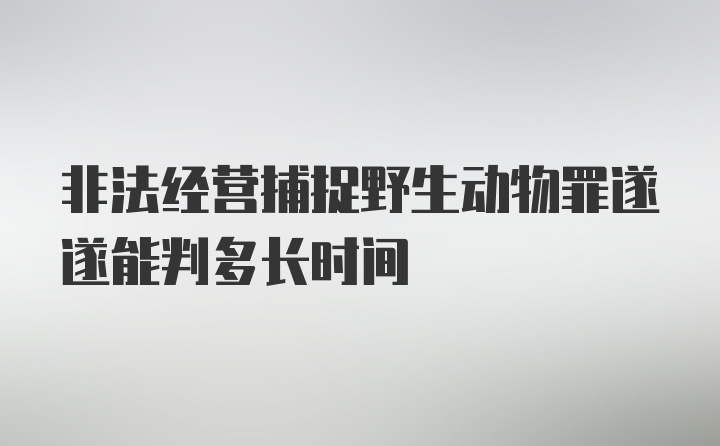 非法经营捕捉野生动物罪遂遂能判多长时间