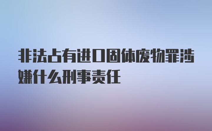 非法占有进口固体废物罪涉嫌什么刑事责任