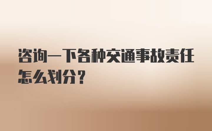 咨询一下各种交通事故责任怎么划分?