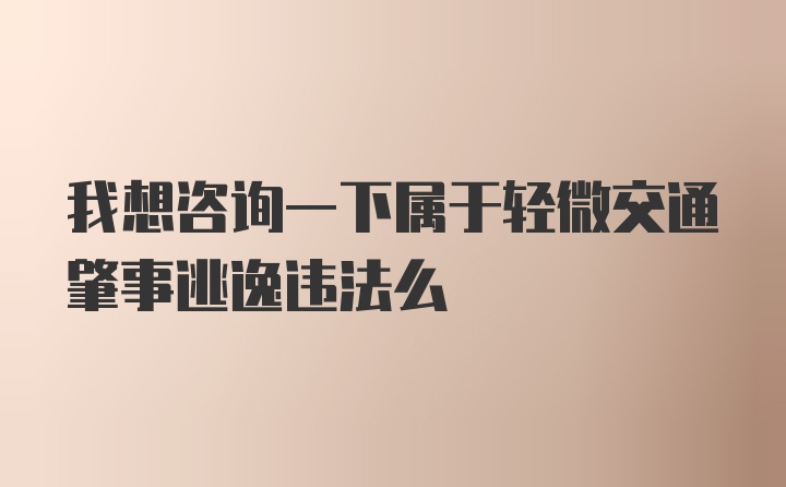 我想咨询一下属于轻微交通肇事逃逸违法么