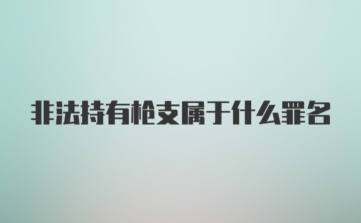 非法持有枪支属于什么罪名