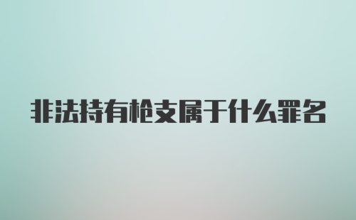 非法持有枪支属于什么罪名