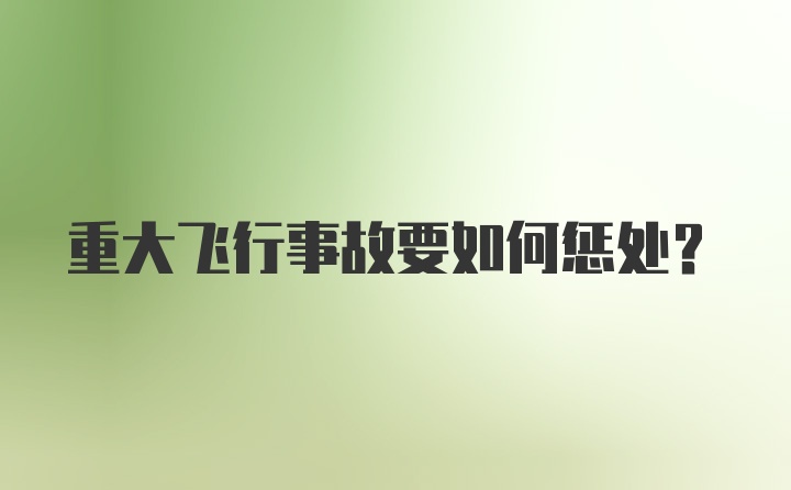 重大飞行事故要如何惩处？