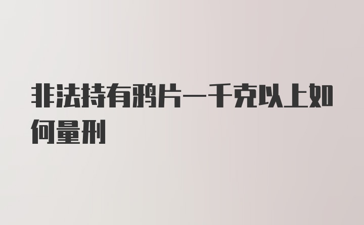 非法持有鸦片一千克以上如何量刑