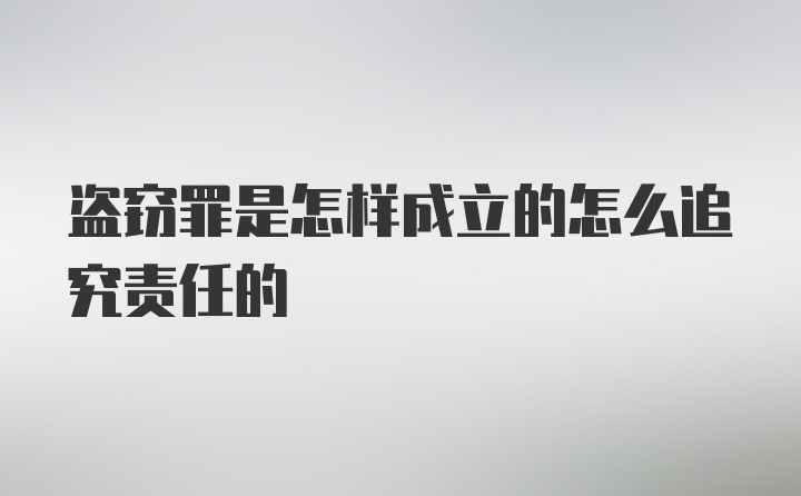 盗窃罪是怎样成立的怎么追究责任的