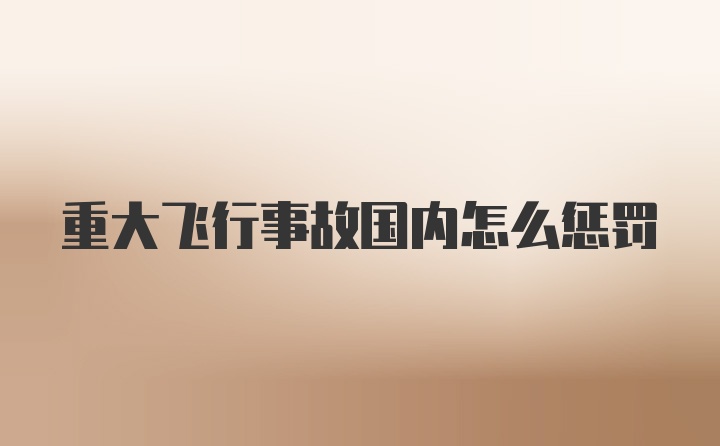 重大飞行事故国内怎么惩罚