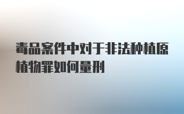 毒品案件中对于非法种植原植物罪如何量刑