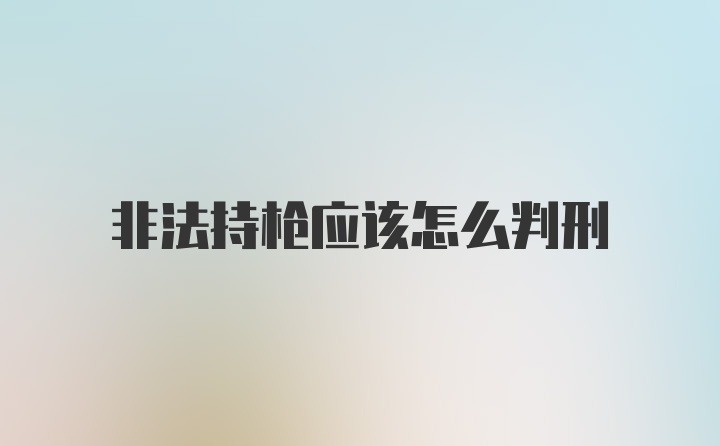 非法持枪应该怎么判刑