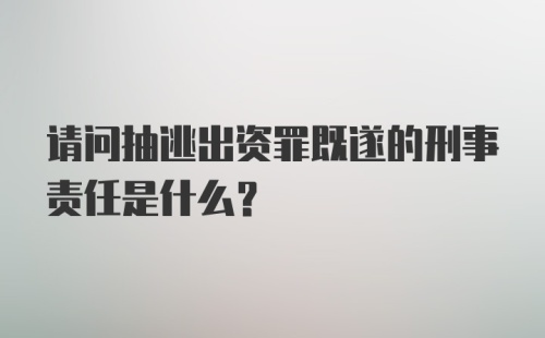 请问抽逃出资罪既遂的刑事责任是什么？