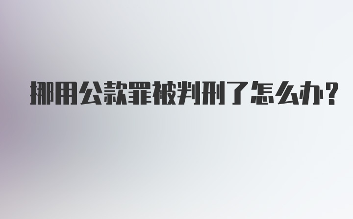 挪用公款罪被判刑了怎么办？