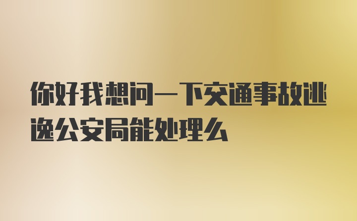 你好我想问一下交通事故逃逸公安局能处理么