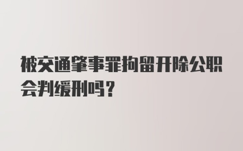 被交通肇事罪拘留开除公职会判缓刑吗?