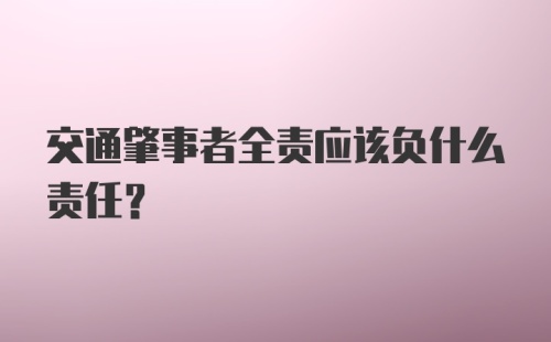 交通肇事者全责应该负什么责任？