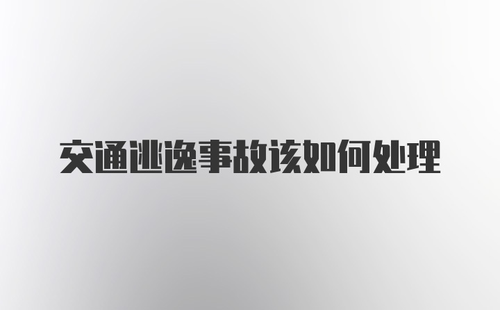 交通逃逸事故该如何处理