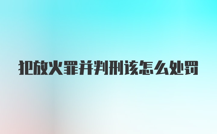 犯放火罪并判刑该怎么处罚