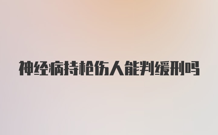 神经病持枪伤人能判缓刑吗