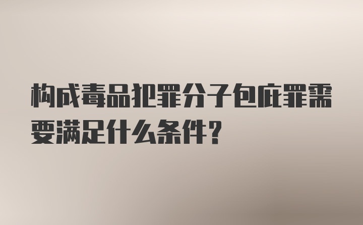 构成毒品犯罪分子包庇罪需要满足什么条件？