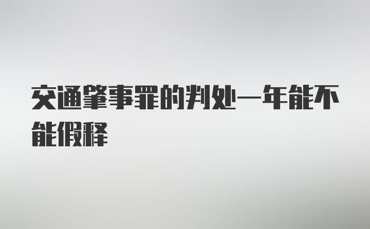 交通肇事罪的判处一年能不能假释