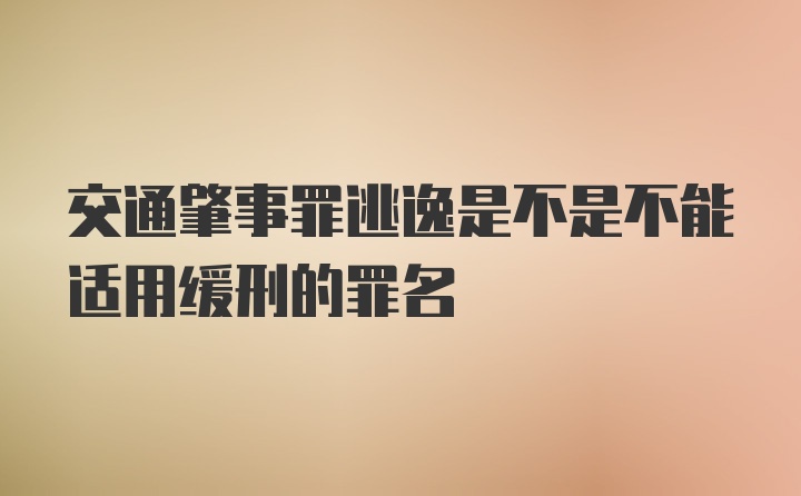 交通肇事罪逃逸是不是不能适用缓刑的罪名