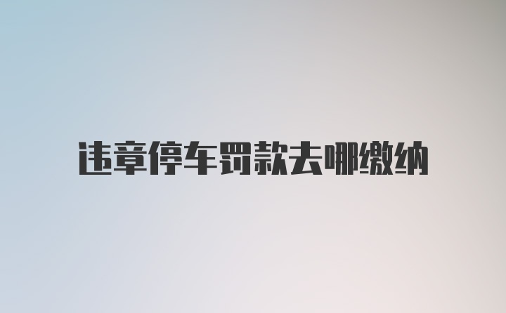 违章停车罚款去哪缴纳