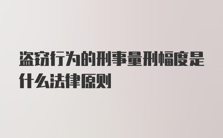 盗窃行为的刑事量刑幅度是什么法律原则