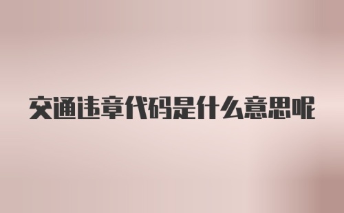 交通违章代码是什么意思呢