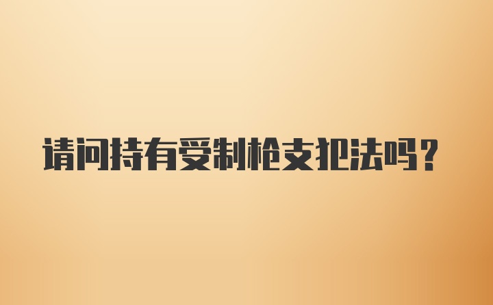 请问持有受制枪支犯法吗？