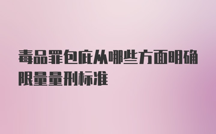 毒品罪包庇从哪些方面明确限量量刑标准