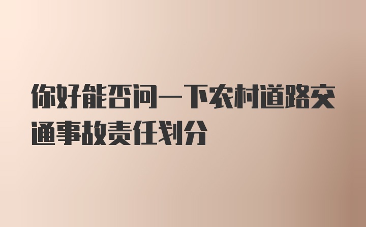 你好能否问一下农村道路交通事故责任划分