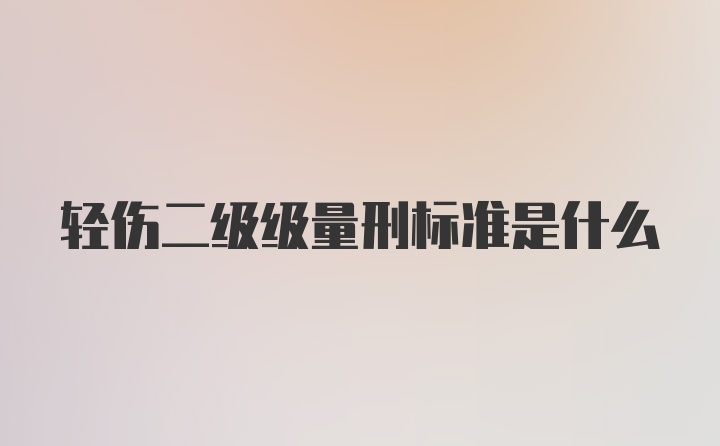 轻伤二级级量刑标准是什么