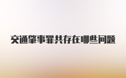 交通肇事罪共存在哪些问题