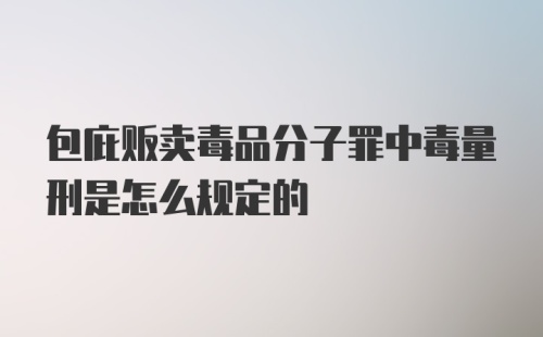 包庇贩卖毒品分子罪中毒量刑是怎么规定的