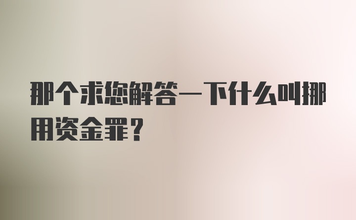 那个求您解答一下什么叫挪用资金罪？