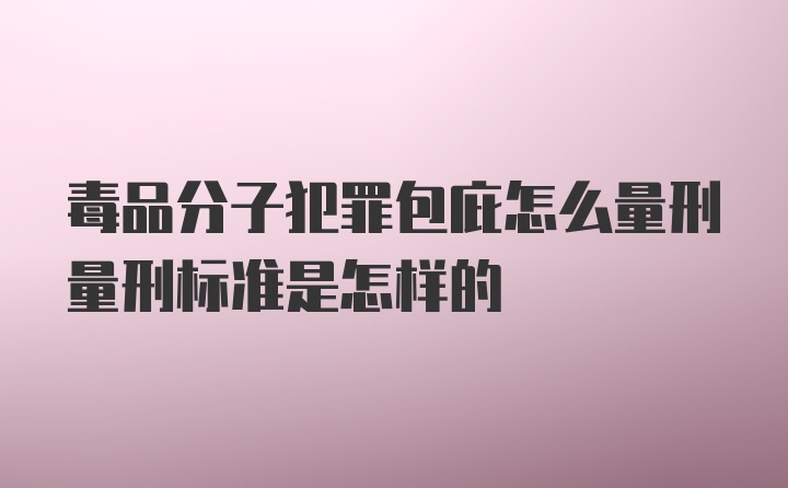 毒品分子犯罪包庇怎么量刑量刑标准是怎样的