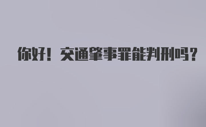 你好！交通肇事罪能判刑吗？