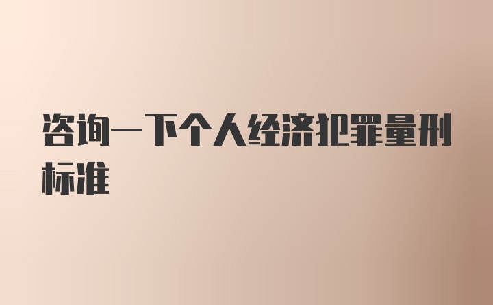 咨询一下个人经济犯罪量刑标准