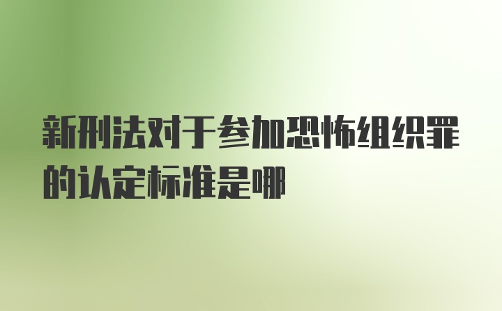 新刑法对于参加恐怖组织罪的认定标准是哪