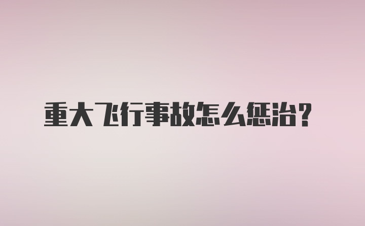 重大飞行事故怎么惩治？